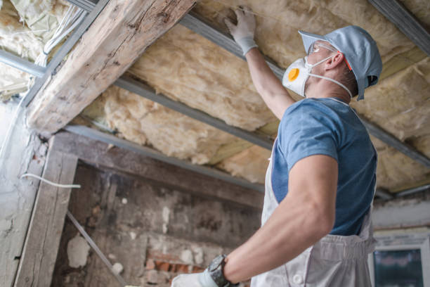 Best Residential Insulation in Lake Belvedere Estates, FL