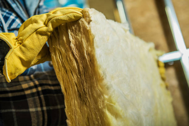 Best Residential Insulation in Lake Belvedere Estates, FL