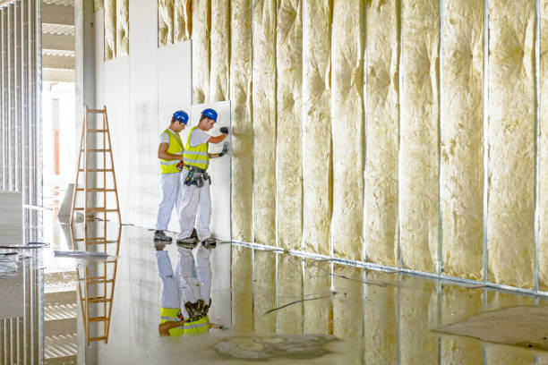 Best Commercial Insulation in Lake Belvedere Estates, FL